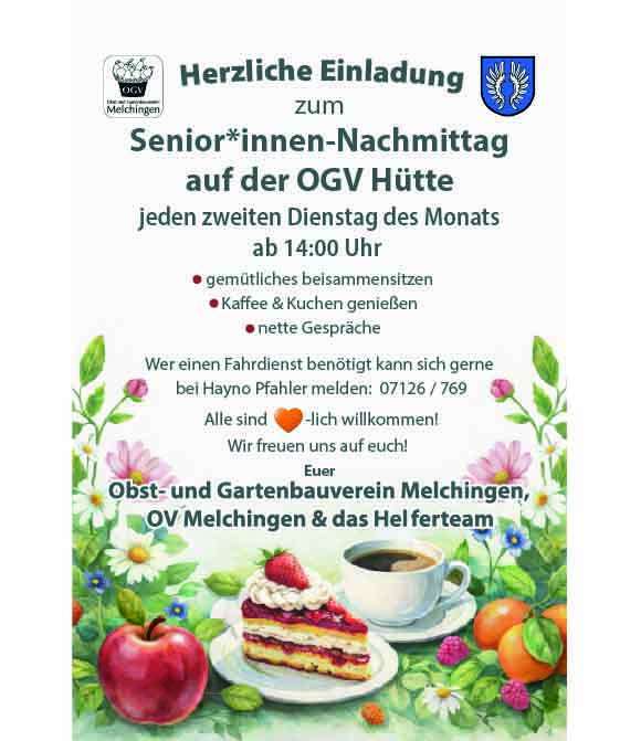 Flyer-1.3